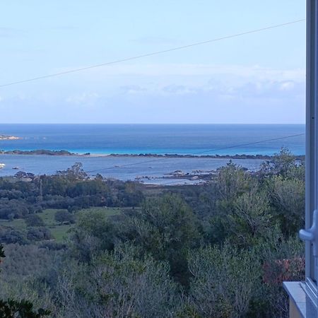 Апартаменты Casa Li Scopi - Ocean View Сан-Теодоро Экстерьер фото